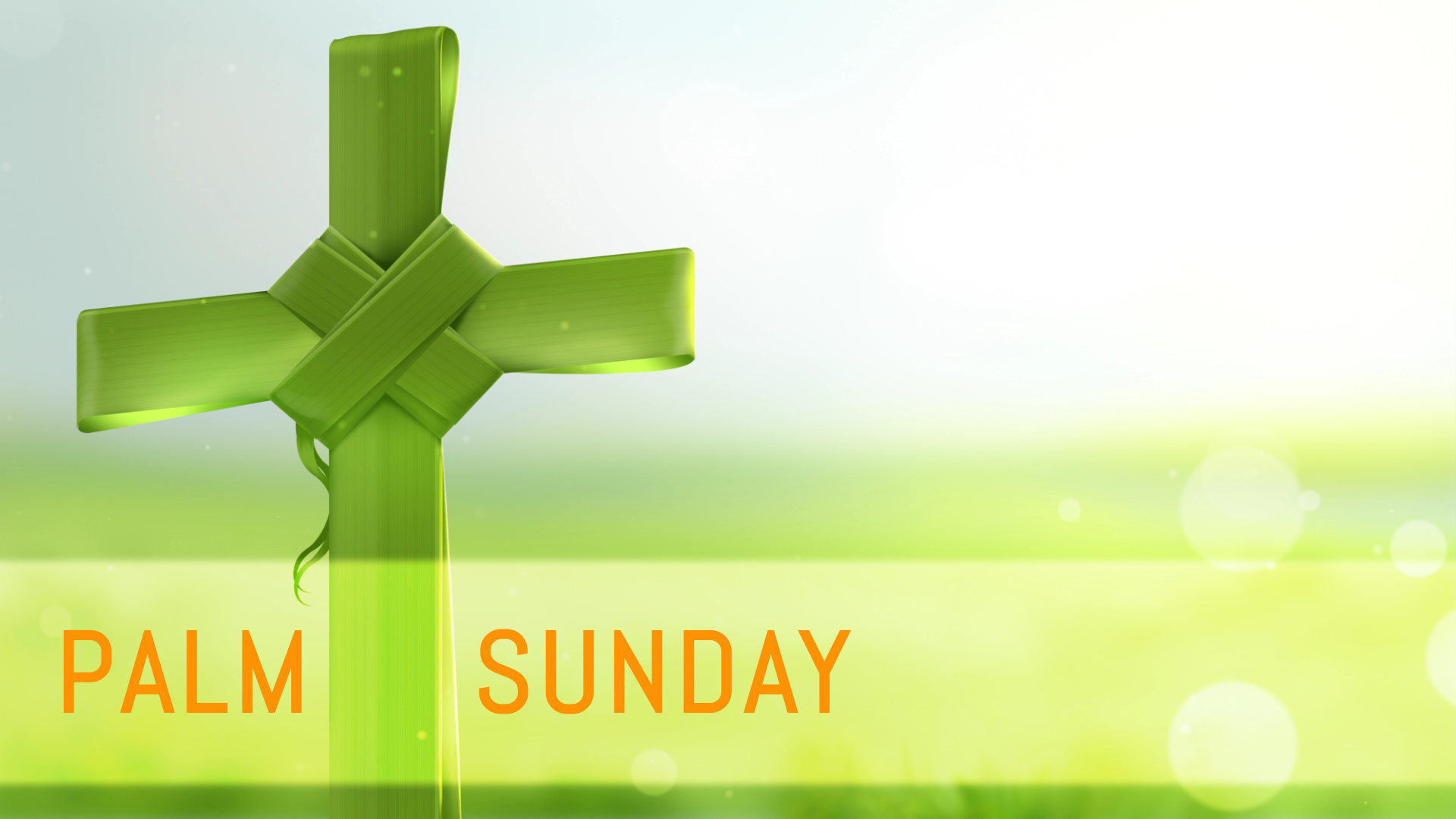 Westville Presby This Sunday is Palm Sunday