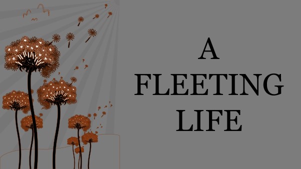 A Fleeting Life