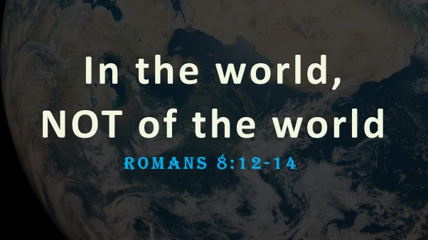 In the World Not of the World